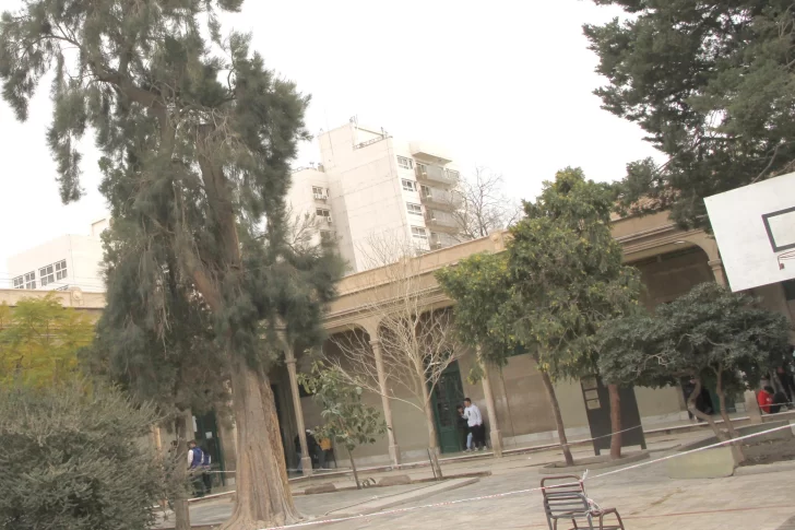 Docentes y padres, preocupados por un árbol del patio a punto de caerse