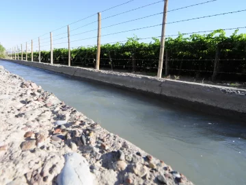 Riego de cultivos: volvió el agua a los canales luego de 108 días de “corta” Riego de cultivos: volvió el agua a los canales luego de 108 días de “corta”