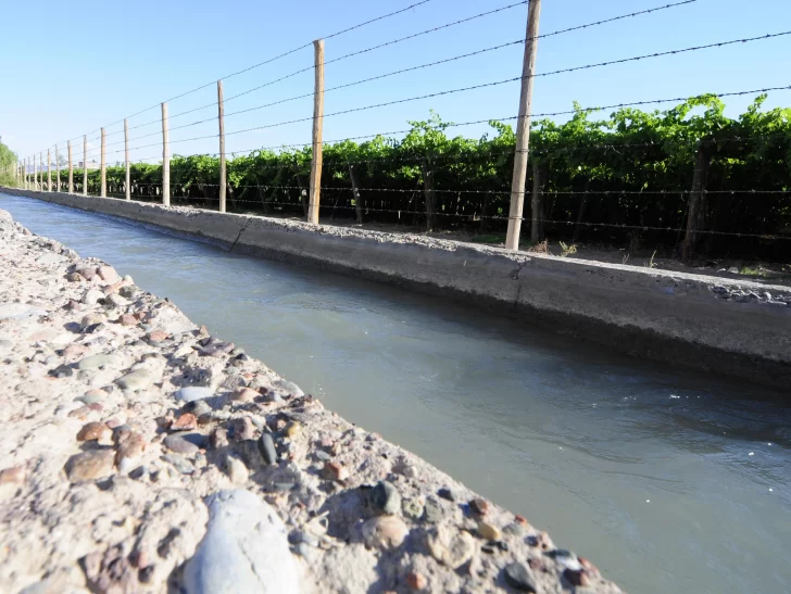 Riego de cultivos: volvió el agua a los canales luego de 108 días de “corta” Riego de cultivos: volvió el agua a los canales luego de 108 días de “corta”