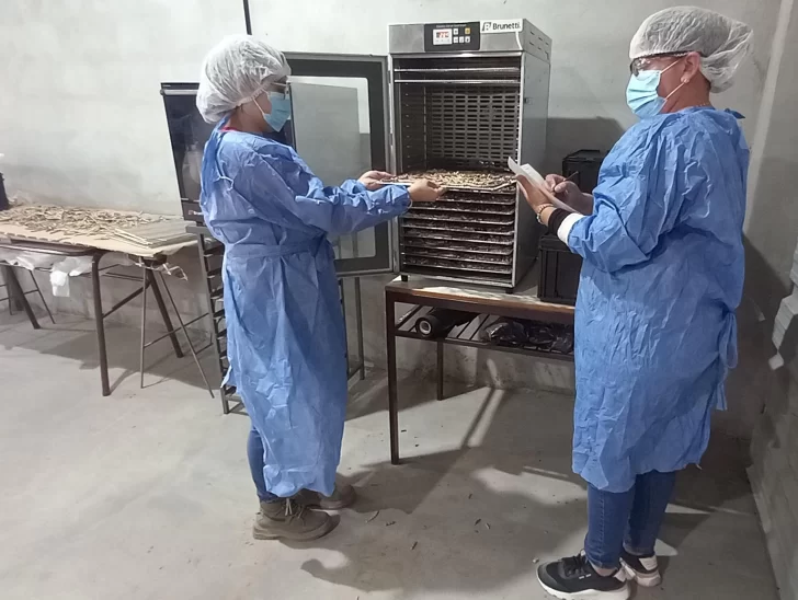 Valle Fértil destaca proyectos innovadores en leche y algarroba Valle Fértil destaca proyectos innovadores en leche y algarroba