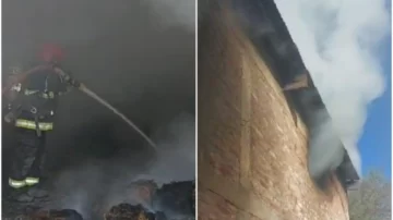 Millonarias pérdidas por un incendio: las llamas arrasaron con máquinas, animales, herramientas, cinco mil fardos de alfalfa y un depósito