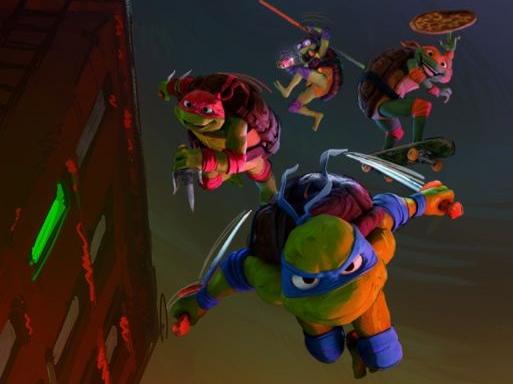 Tortugas y escarabajos