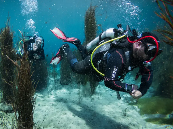 La inquietante y extraña criatura marina nunca antes vista La inquietante y extraña criatura marina nunca antes vista
