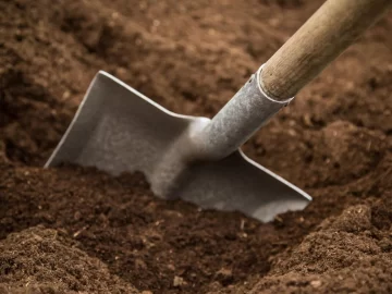 El suelo, clave para dar vida El suelo, clave para dar vida