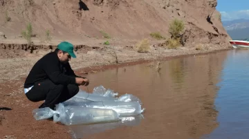 El 1 de septiembre comienza la veda para la pesca en el dique Punta Negra El 1 de septiembre comienza la veda para la pesca en el dique Punta Negra