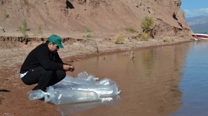 El 1 de septiembre comienza la veda para la pesca en el dique Punta Negra El 1 de septiembre comienza la veda para la pesca en el dique Punta Negra
