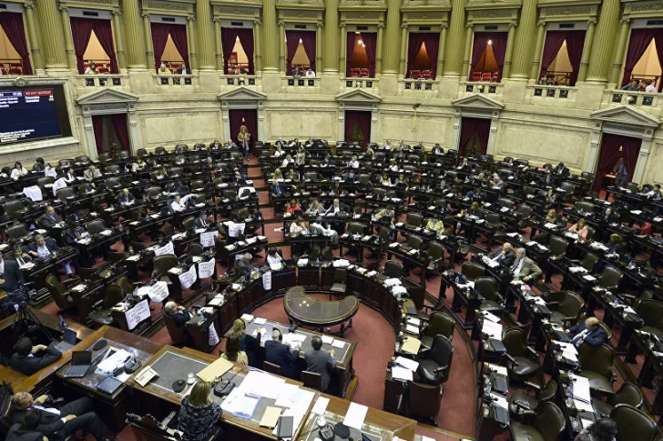 La oposición presentó su proyecto para declarar la emergencia alimentaria