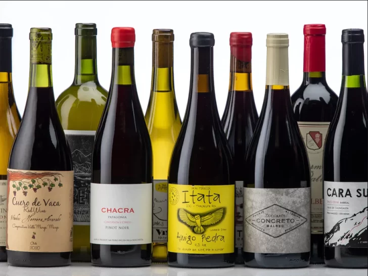 New York Times seleccionó un vino calingastino entre doce sudamericanos recomendados New York Times seleccionó un vino calingastino entre doce sudamericanos recomendados