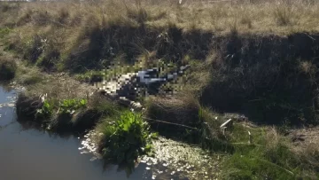 Hallan el cadáver de un hombre asesinado de 14 balazos en un descampado
