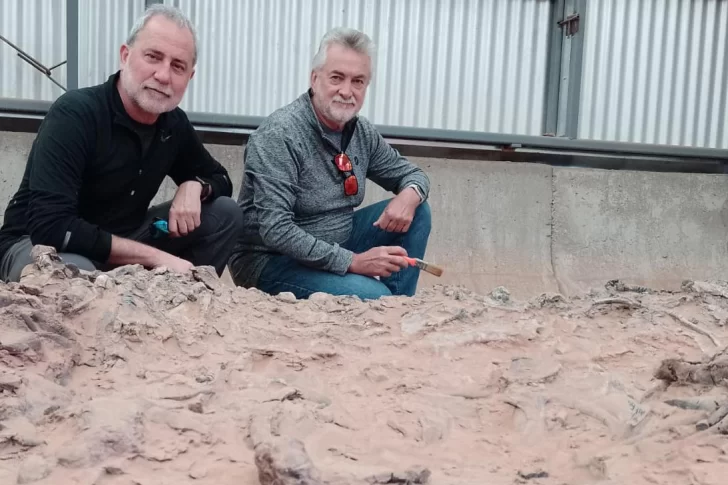 Más ciencia, más sorpresas y más futuro para el Parque Ischigualasto