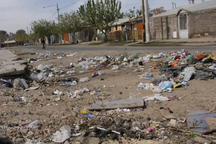 Apenas asuma, Munisaga afirmó que sumará seis compactadores de basura