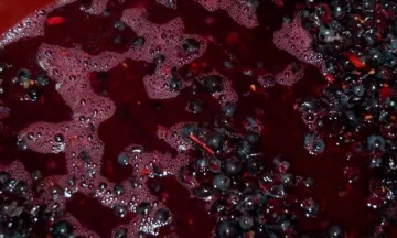 Una denuncia en EEUU pone en jaque las exportaciones de mosto