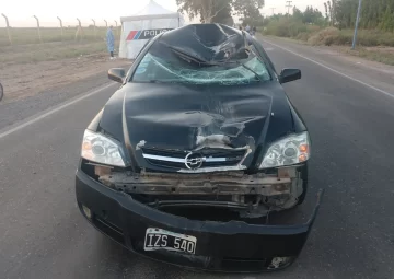 Tres personas murieron por los accidentes de tránsito en Capital, Jáchal y 9 de Julio Tres personas murieron por los accidentes de tránsito en Capital, Jáchal y 9 de Julio