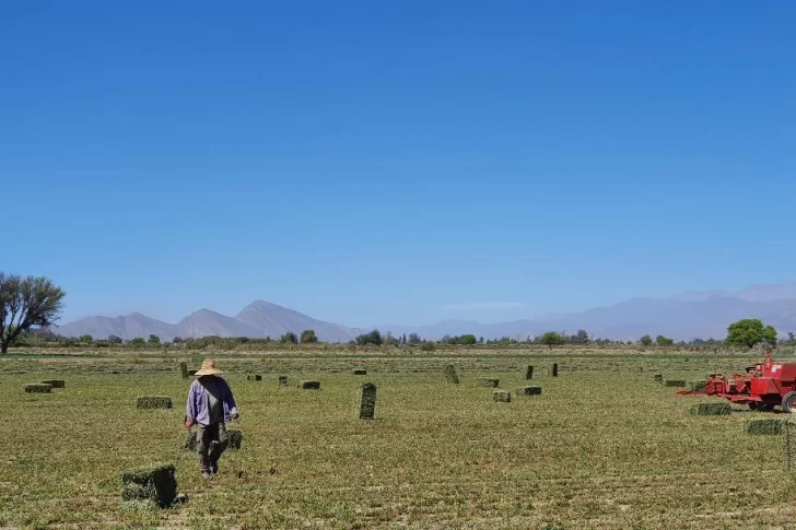 Día Internacional del Café
