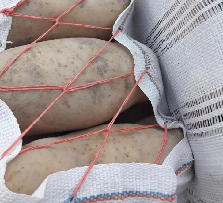La papa de Iglesia llega al mercado con alta calidad La papa de Iglesia llega al mercado con alta calidad