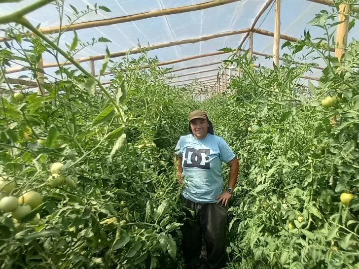 5.000 hectárea de horticultura cultiva San Juan desde el 2001 5.000 hectárea de horticultura cultiva San Juan desde el 2001