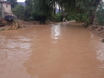 Cuantiosas pérdidas económicas causaron las lluvias continuas Cuantiosas pérdidas económicas causaron las lluvias continuas