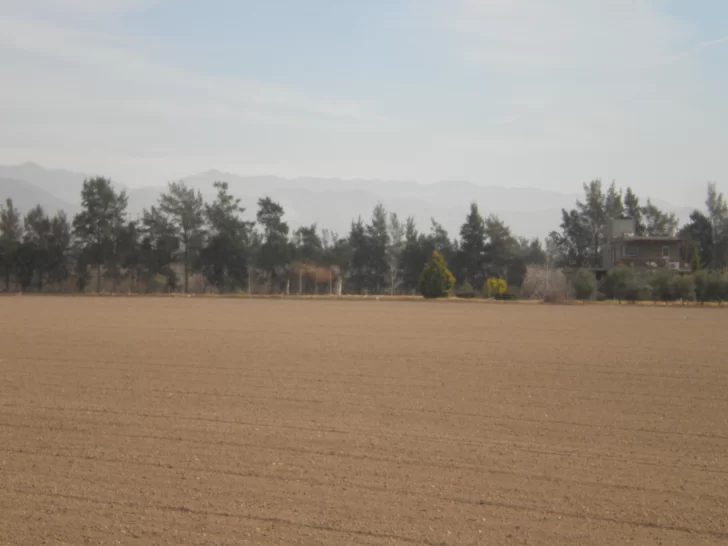 Ejemplo de solidaridad entre los chacareros temporarios Ejemplo de solidaridad entre los chacareros temporarios