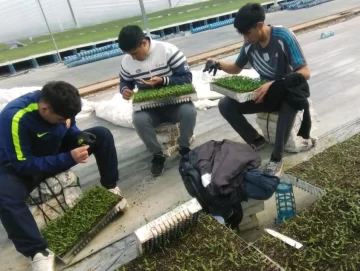 Educar para los nuevos roles tecnológicos agroindustriales