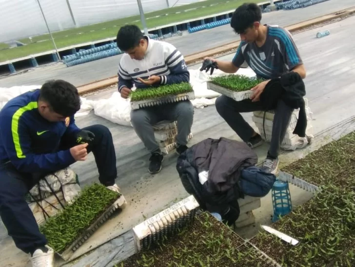 Educar para los nuevos roles tecnológicos agroindustriales