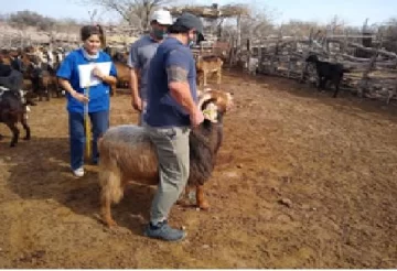Universidades, aliadas del Papa en poner en marcha Laudato si Universidades, aliadas del Papa en poner en marcha Laudato si