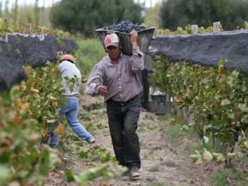 Preocupación por el pedido de quiebra de Fecovita, un gigante vitivinícola