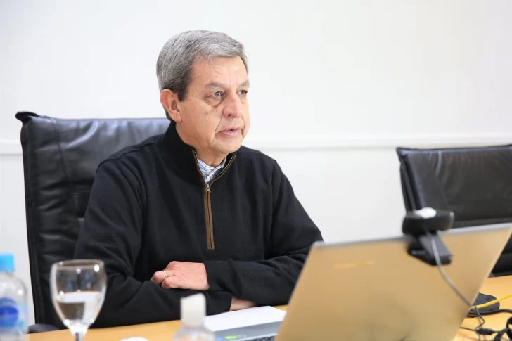 Reunión virtual de Gattoni y otros vicegobernadores con el ministro Wado De Pedro