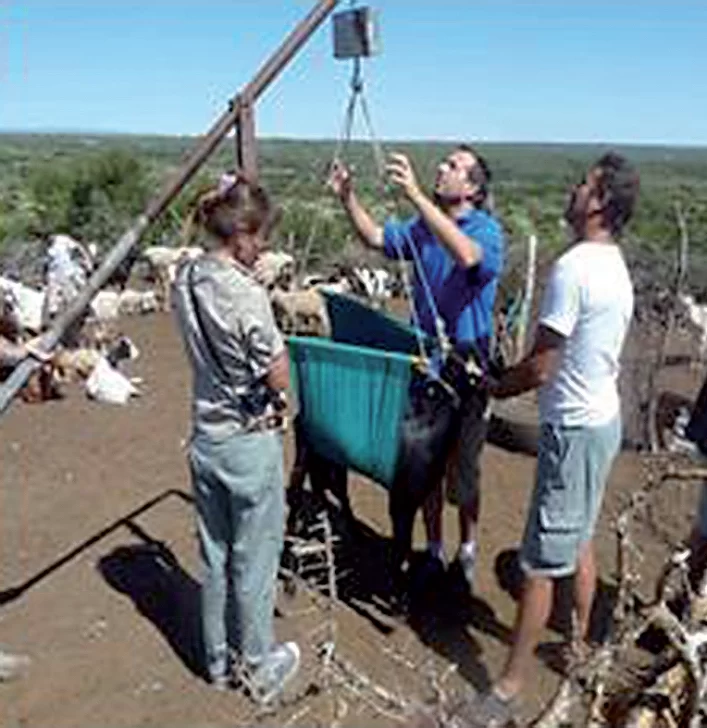 Desarrollan clúster caprino entre San Luis, San Juan y Mendoza Desarrollan clúster caprino entre San Luis, San Juan y Mendoza