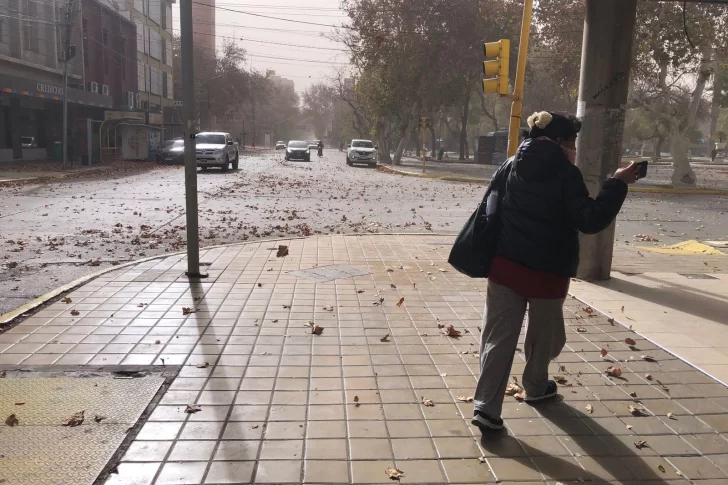 Rige un alerta por viento y la máxima llegará a los 20 grados este sábado