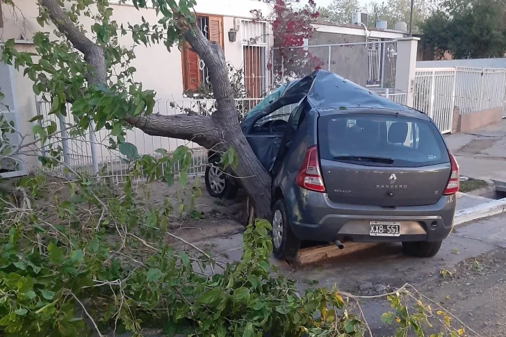 Perdió el control de su auto, impactó contra un árbol y murió en el acto