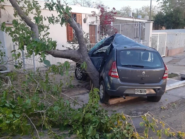 Perdió el control de su auto, impactó contra un árbol y murió en el acto Perdió el control de su auto, impactó contra un árbol y murió en el acto