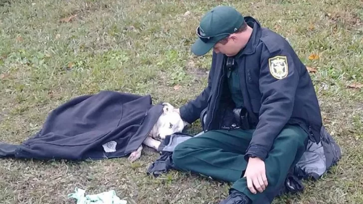 La foto de un policía con una perra que se hizo viral