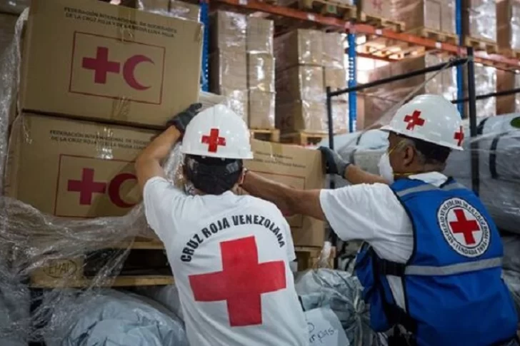 La Cruz Roja advierte sobre hambruna mundial por la guerra en Ucrania