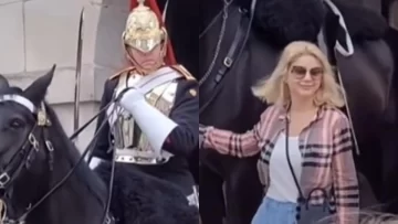 Quiso acariciar un caballo de la guardia real y la reacción del soldado la horrorizó Quiso acariciar un caballo de la guardia real y la reacción del soldado la horrorizó