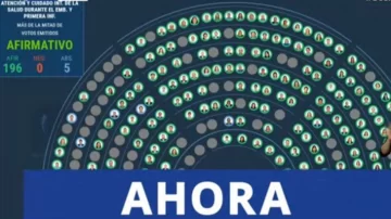 Diputados le dio media sanción al Plan de los 1000 Días
