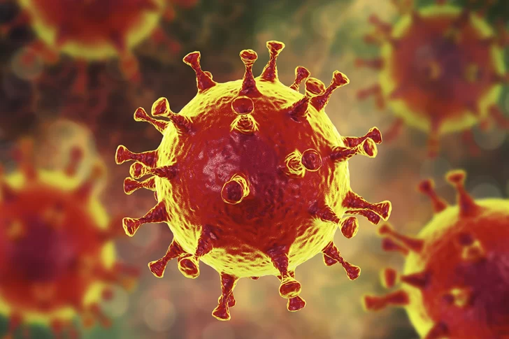 La OMS sigue sin descartar ninguna de las las teorías sobre el origen del coronavirus