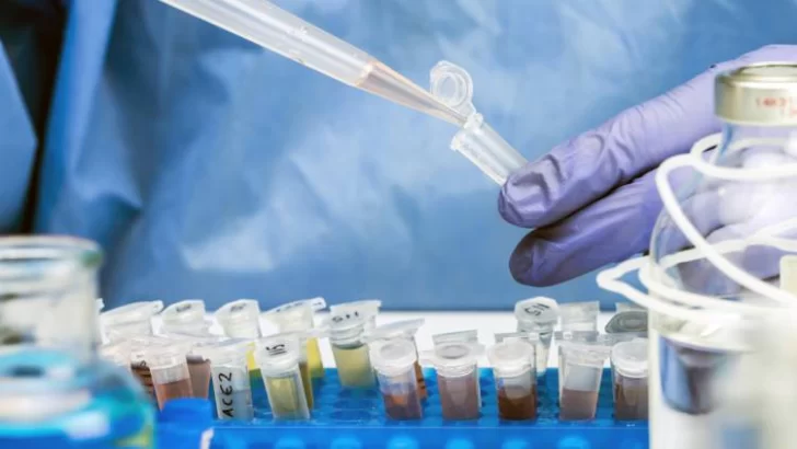 Un nuevo fármaco oral logra suprimir “por completo” la transmisión del Covid-19 Un nuevo fármaco oral logra suprimir “por completo” la transmisión del Covid-19