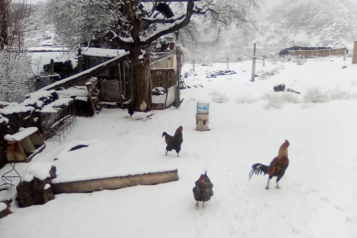 Una tenue nevada sorprendió a los jachalleros y calingastinos