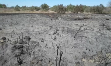 Por limpiar un terreno, incendiaron 30 hectáreas de campo Por limpiar un terreno, incendiaron 30 hectáreas de campo