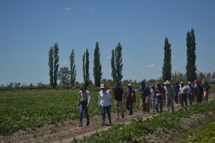 Sarmiento vivió una fiesta del melón y sandía en tecnologías Sarmiento vivió una fiesta del melón y sandía en tecnologías