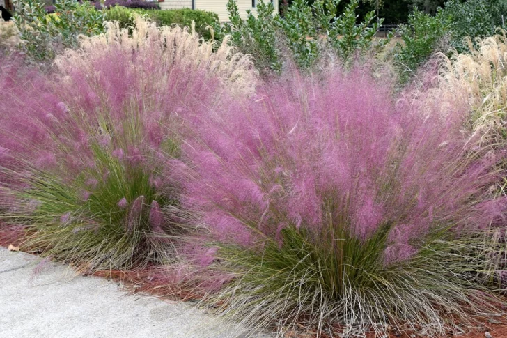 Movimientos que cautivan