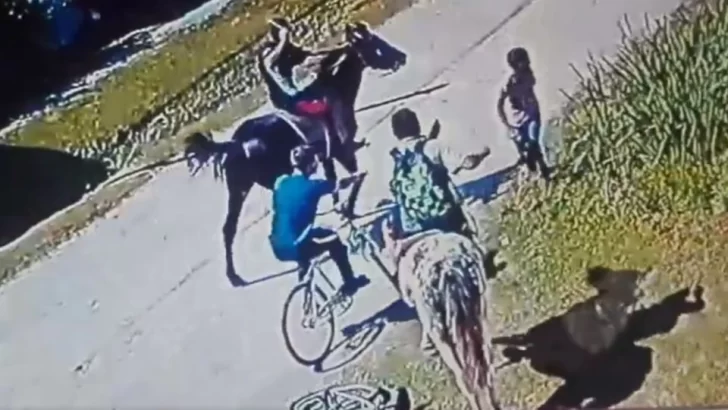 Usaron caballos para amedrentar y robarle la bicicleta a un joven Usaron caballos para amedrentar y robarle la bicicleta a un joven
