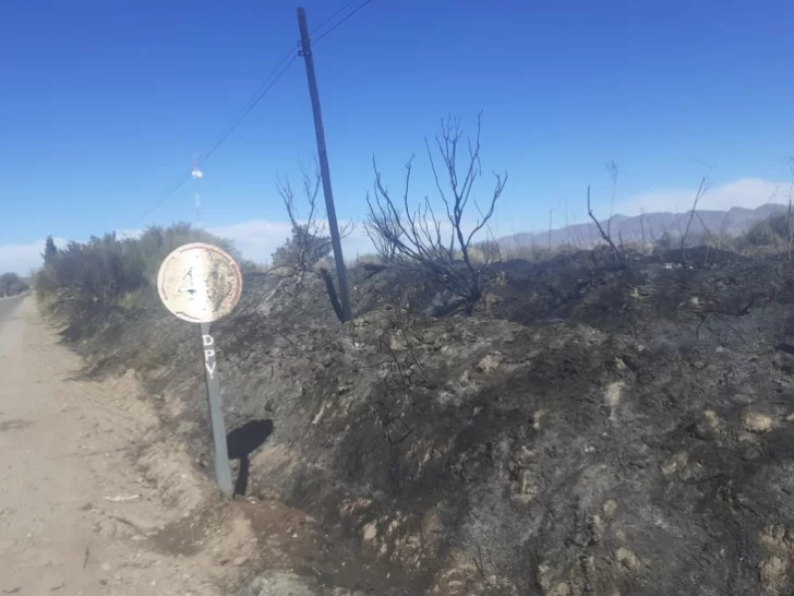 El Zonda provocó un incendio que puso en jaque una escuela de Jáchal