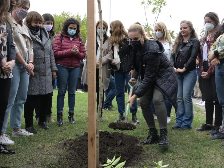 Coronavius en Argentina: otras 28 personas murieron y 1.580 resultaron contagiadas Coronavius en Argentina: otras 28 personas murieron y 1.580 resultaron contagiadas
