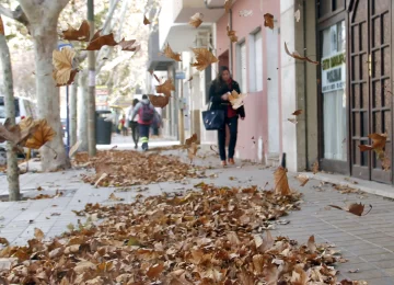 El SMN emitió un alerta amarilla: por dónde pasará el Zonda El SMN emitió un alerta amarilla: por dónde pasará el Zonda