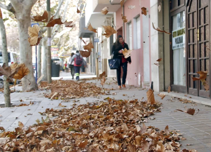 El SMN emitió un alerta amarilla: por dónde pasará el Zonda El SMN emitió un alerta amarilla: por dónde pasará el Zonda
