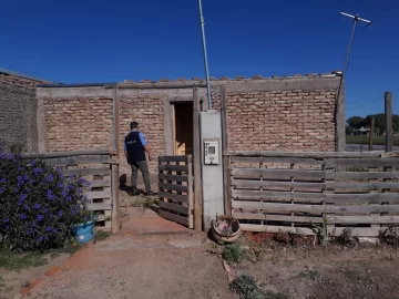 Robó una cartera de un auto, huyó y se escondió en un árbol Robó una cartera de un auto, huyó y se escondió en un árbol