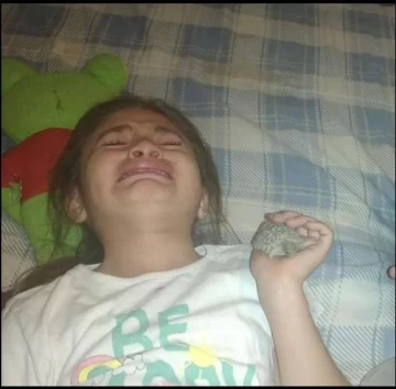 25 de Mayo: una nena no para de llorar porque le robaron su tortuga bebé