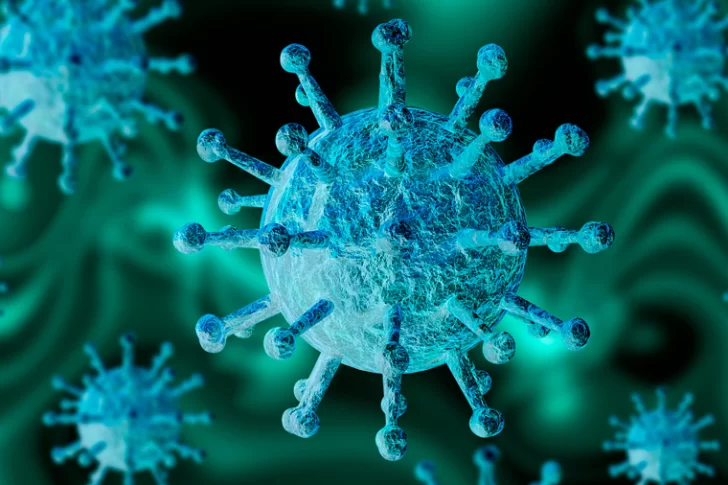 Científicos de todo el mundo rechazaron el informe de la OMS sobre el origen del Covid