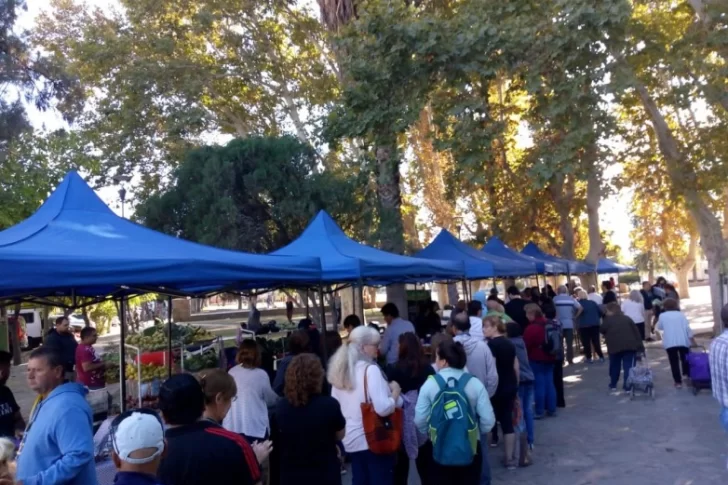 Desamparados es la próxima parada del camión de frutas y verduras